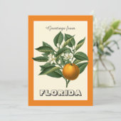 Vintage Greetings from Florida Orange Fruit  (Staand voorkant)