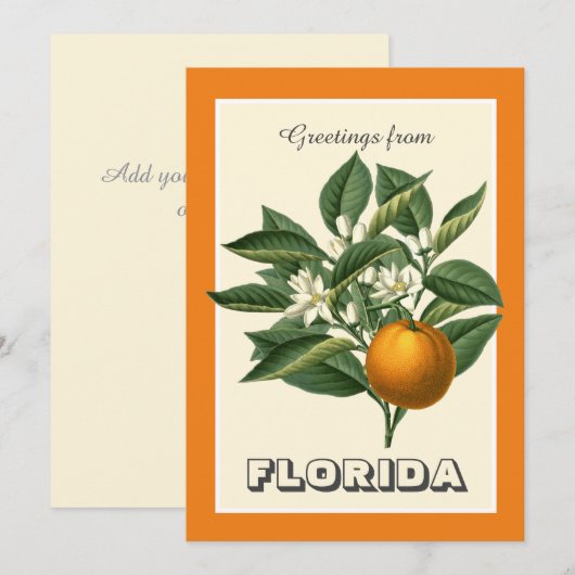 Vintage Greetings from Florida Orange Fruit  (Voorkant / Achterkant)