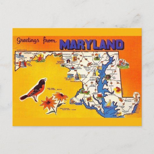 Vintage groet uit Maryland Briefkaart (Voorkant)