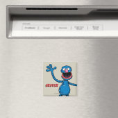 Vintage Grover Magneet (Insitu (Vaatwasser))