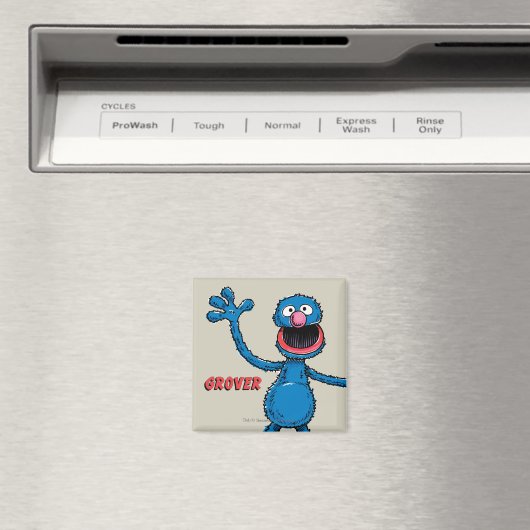 Vintage Grover Magneet (Insitu (Vaatwasser))