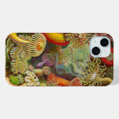 Vintage Haeckel Anemones Case-Mate iPhone Case (Achterkant (horizontaal))