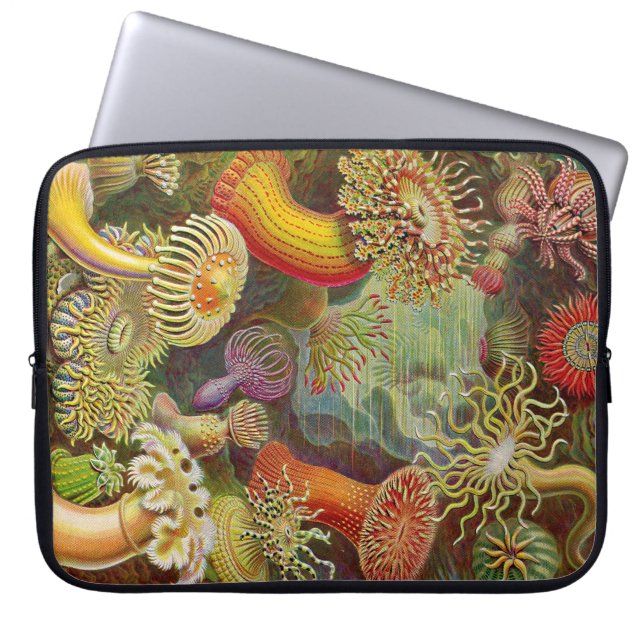 Vintage Haeckel Anemones Laptop Sleeve (Voorkant)