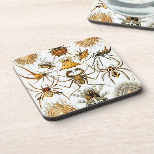 Vintage Haeckel Bier Onderzetter (Linkerzijde)