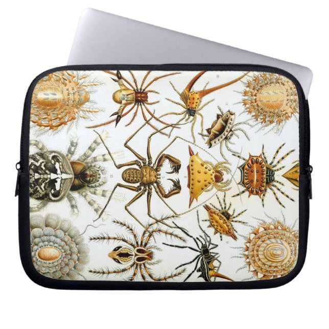 Vintage Haeckel Bugs & Spiders Laptop Sleeve (Voorkant)
