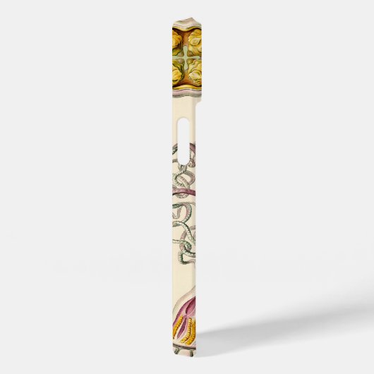 Vintage Haeckel Case-Mate iPhone Case (Achterkant / Rechts)