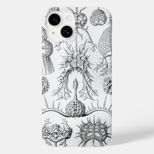 Vintage Haeckel Case-Mate iPhone Case (Achterkant)