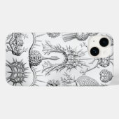 Vintage Haeckel Case-Mate iPhone Case (Achterkant (horizontaal))