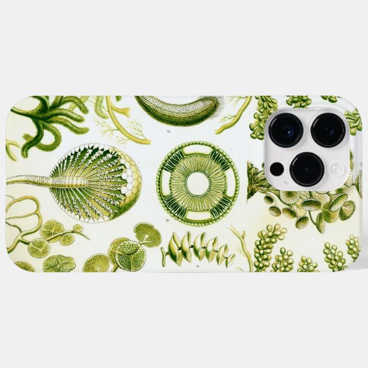 Vintage Haeckel Case-Mate iPhone Case (Achterkant (horizontaal))