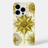 Vintage Haeckel Case-Mate iPhone Case (Achterkant)