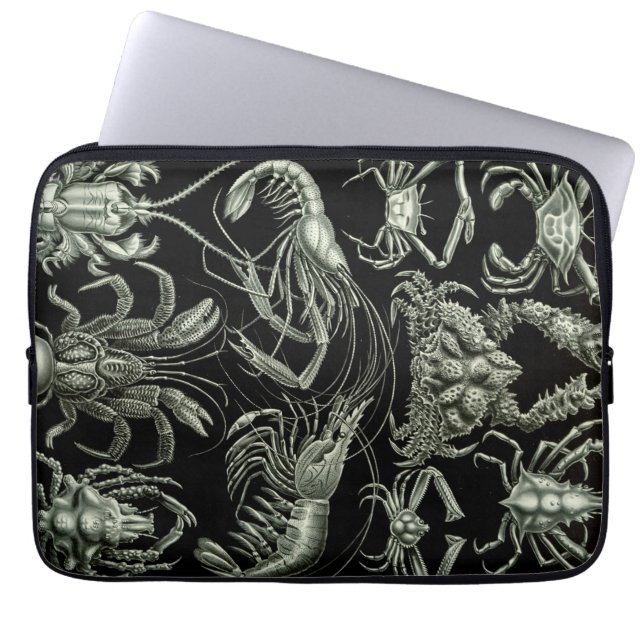 Vintage Haeckel Crustations Laptop Sleeve (Voorkant)