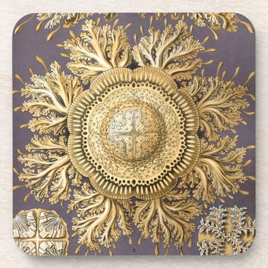 Vintage Haeckel Drankjes Onderzetter (Voorkant)