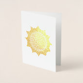 Vintage Haeckel Folie Kaarten (Voorkant)