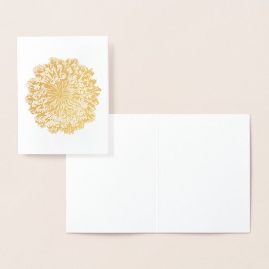 Vintage Haeckel Folie Kaarten (Display)