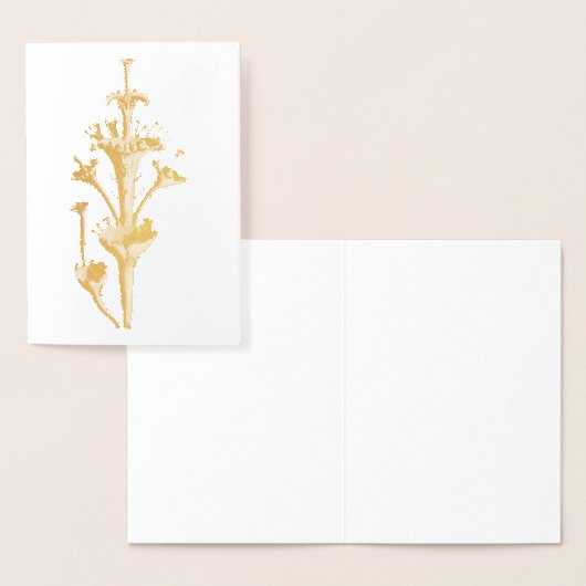 Vintage Haeckel Folie Kaarten (Display)