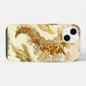 Vintage Haeckel iPhone Hoesje (Achterkant horizontaal)