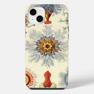 Vintage Haeckel