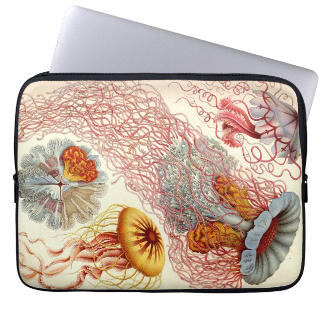 Vintage Haeckel Jellyfish Laptop Sleeve (Voorkant)