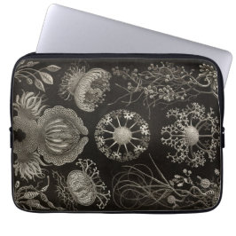 Vintage Haeckel Laptop Sleeve