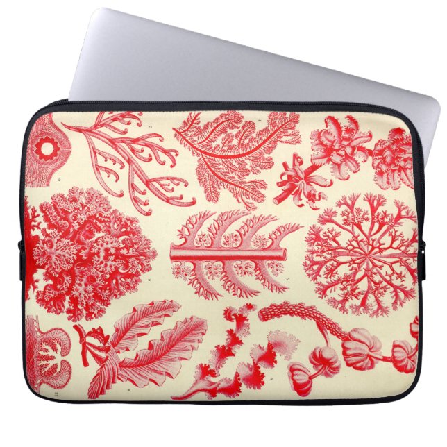 Vintage Haeckel Laptop Sleeve (Voorkant)