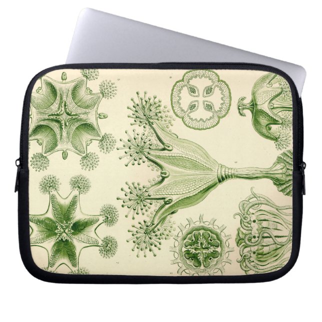 Vintage Haeckel Laptop Sleeve (Voorkant)