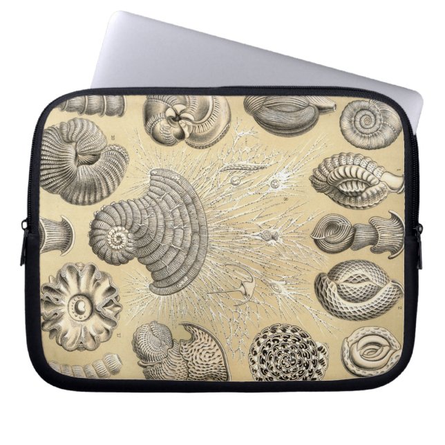Vintage Haeckel Laptop Sleeve (Voorkant)