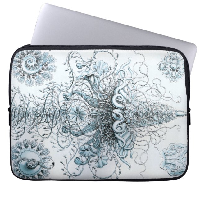 Vintage Haeckel Laptop Sleeve (Voorkant)