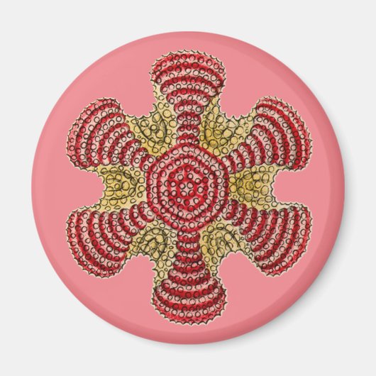 Vintage Haeckel Magneet (Voorkant)