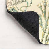 Vintage Haeckel Muismat (Hoek)