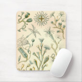Vintage Haeckel Muismat (Met muis)
