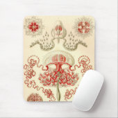 Vintage Haeckel Muismat (Met muis)