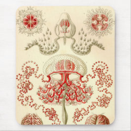 Vintage Haeckel Muismat