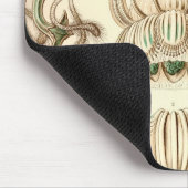 Vintage Haeckel Muismat (Hoek)