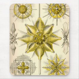 Vintage Haeckel Muismat