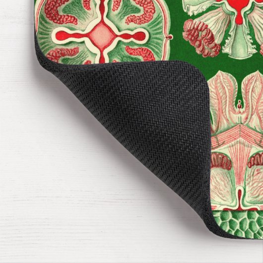 Vintage Haeckel Muismat (Hoek)