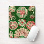 Vintage Haeckel Muismat (Met muis)