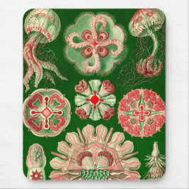Vintage Haeckel Muismat