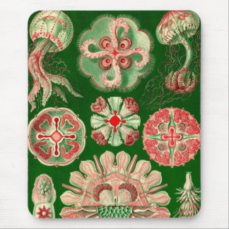 Vintage Haeckel Muismat