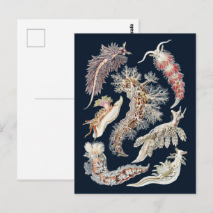 Vintage Haeckel Nudibranch Oceaan Kunst Briefkaart