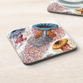 Vintage Haeckel Onderzetter (Linkerzijde)