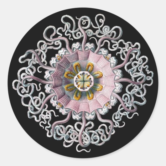  Vintage Haeckel Ronde Sticker (Voorkant)