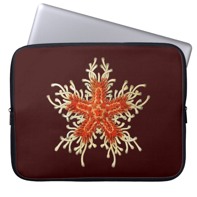  Vintage Haeckel Starfish Laptop Sleeve (Voorkant)