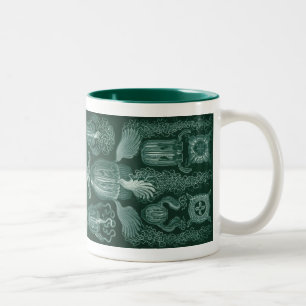 Vintage Haeckel Tweekleurige Koffiemok