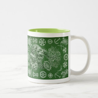 Vintage Haeckel Tweekleurige Koffiemok