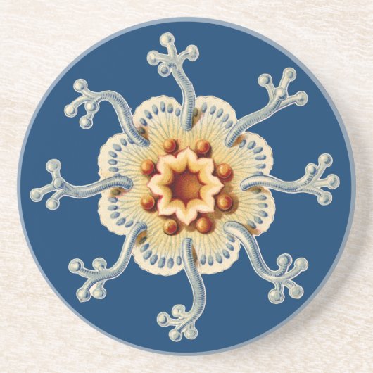 Vintage Haeckel Zandsteen Onderzetter (Voorkant)