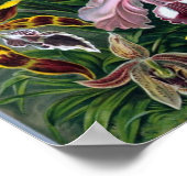 Vintage Haekel Botanisch Poster (Hoek)