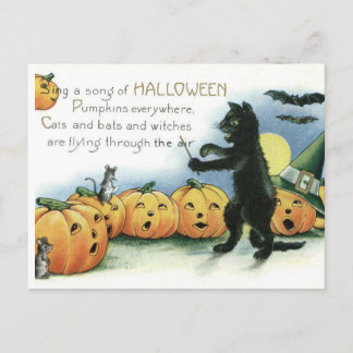 Vintage Halloween Black Cat Mice Mouse Postcard Briefkaart