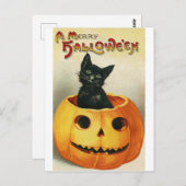 Vintage Halloween Kaart | Zwarte kat in pompoen (Voorkant / Achterkant)