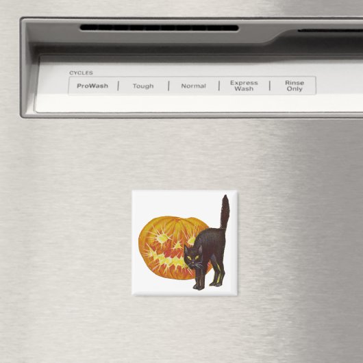 Vintage Halloween Magneet (Insitu (Vaatwasser))