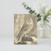 Vintage Halloween Tawny Owl Briefkaart (Staand voorkant)
